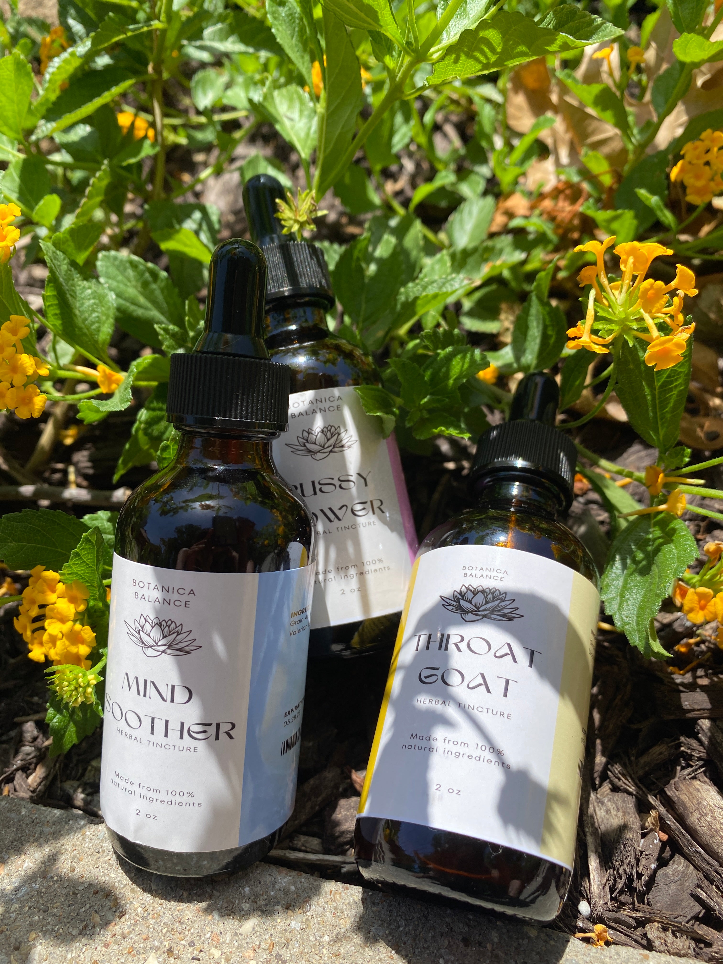 Tinctures – Botanica Balance
